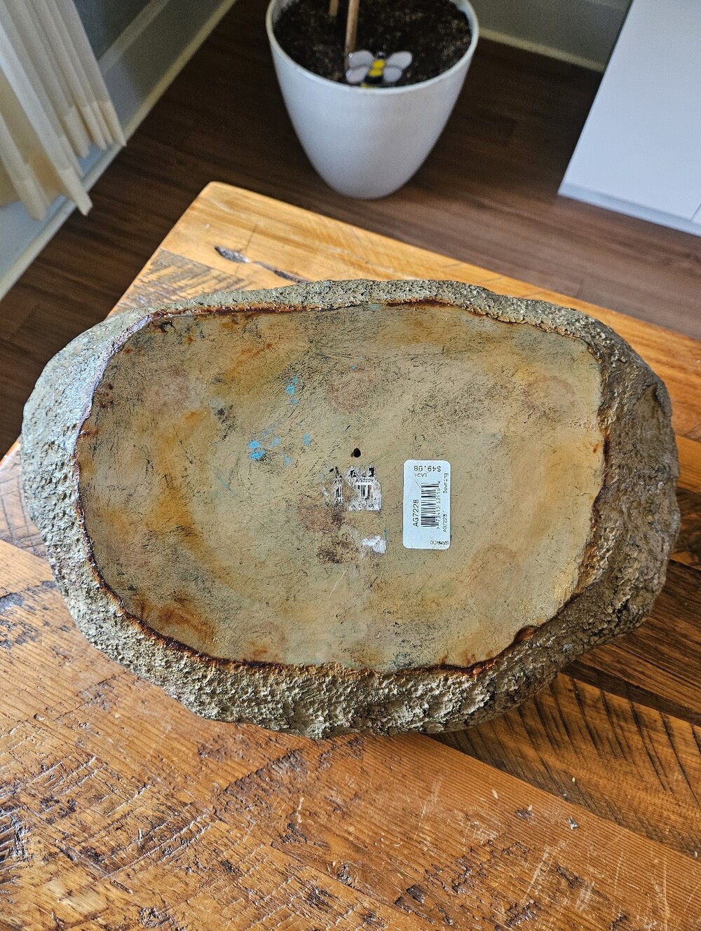 'Grow Dammit' Rock - Picture 2 of 3